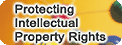 Protecing Intellectual Property Rights